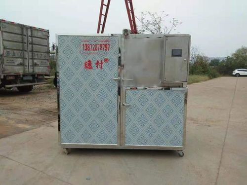 逸村廠家直銷(xiāo)環(huán)保電控烘干機(jī) 海鮮菌菇茶葉環(huán)保電烘干機(jī)