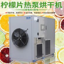 高效節能的果蔬烘干機 檸檬片、藍莓、芒果、檳榔等水果干制作利器
