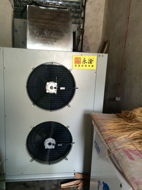 蔬菜干制加工技術(shù)與果蔬烘干機使用工藝解析